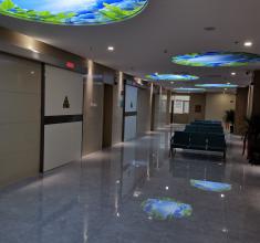 医用电动气密门-2